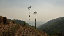 A la découverte des alentours (Népal)